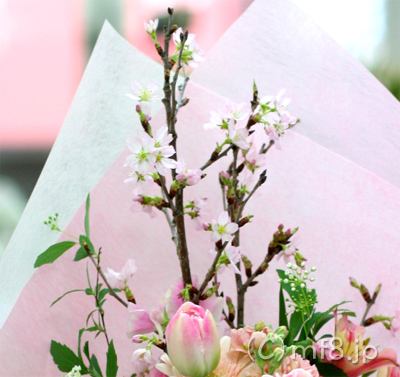 3月の送別会花束に桜の花を入れることも出来ます