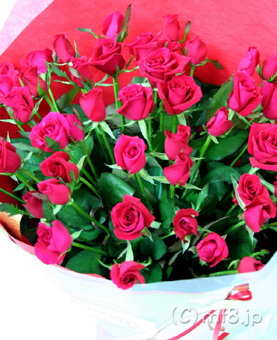 真っ赤なバラ50本の花束