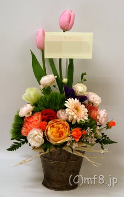 展示会祝いのアレンジ花/シック