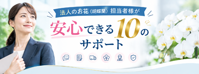 胡蝶蘭当日配達の法人様ご担当者様必見のページ