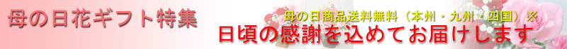 母の日の花のご注文は丸の内フローラへどうぞ。