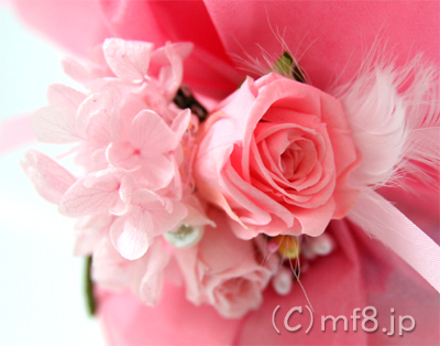 ���ނP�[�L�ɂ̓R�T�[�W�����ł��B