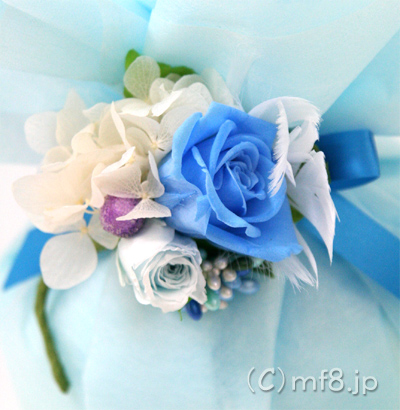�o�Y�j���M�t�g/���ނP�[�L�ɂ̓R�T�[�W����