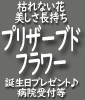 プリザーブドフラワー/誕生日/開院祝い