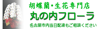 名古屋の花屋・丸の内フローラトップページ