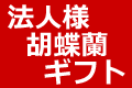 法人様胡蝶蘭の配達特集ページ