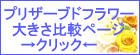 プリザーブドフラワーの大きさ比較・価格・相場について