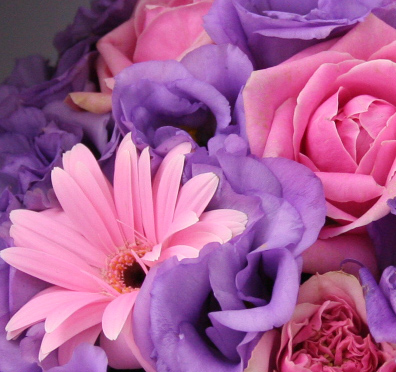 紫ピンク色のかわいい大人色の花ギフトです