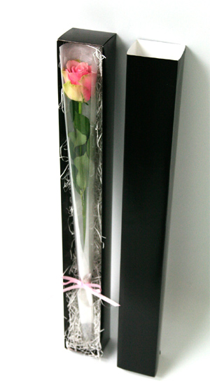 ROSEBOX　クリスマスプレゼント