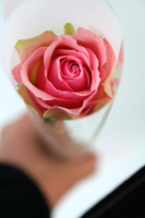 クリスマスプレゼント花（BOX ROSE）